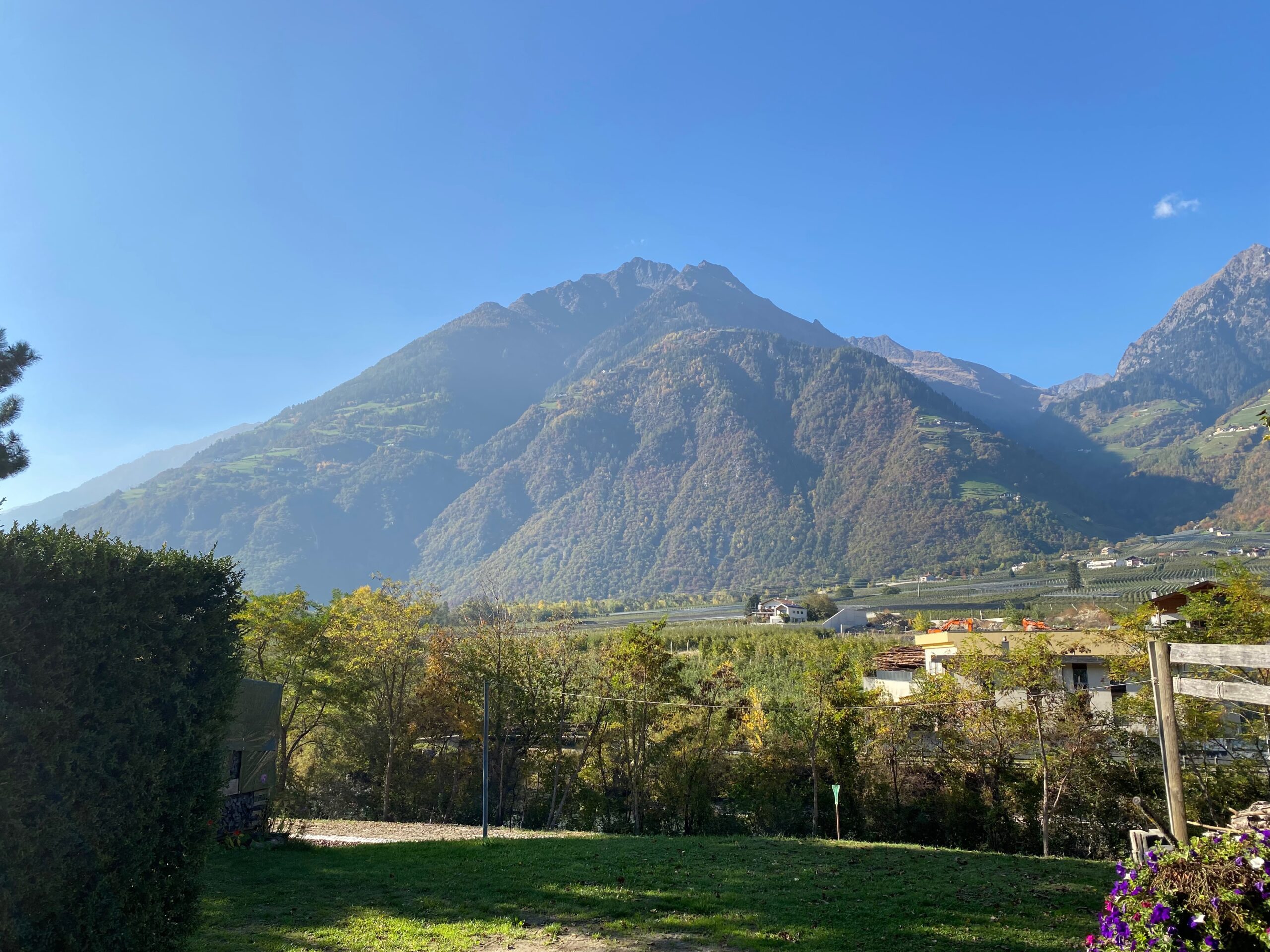 Mountain