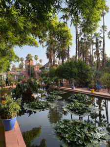 Join Travel with Tera as she captures unforgettable adventures and delicious bites from around the world. Follow along (https://travelwithtera.com) for stunning travel photos, mouthwatering cuisine, and stories that will stay with you forever.