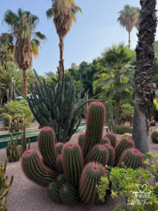 Join Travel with Tera as she captures unforgettable adventures and delicious bites from around the world. Follow along (https://travelwithtera.com) for stunning travel photos, mouthwatering cuisine, and stories that will stay with you forever.