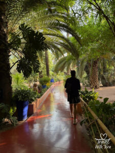 Join Travel with Tera as she captures unforgettable adventures and delicious bites from around the world. Follow along (https://travelwithtera.com) for stunning travel photos, mouthwatering cuisine, and stories that will stay with you forever.