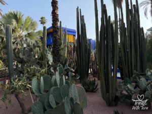 Join Travel with Tera as she captures unforgettable adventures and delicious bites from around the world. Follow along (https://travelwithtera.com) for stunning travel photos, mouthwatering cuisine, and stories that will stay with you forever.