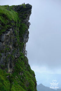 Join Travel with Tera as she captures unforgettable adventures and delicious bites from around the world. Follow along (https://travelwithtera.com) for stunning travel photos, mouthwatering cuisine, and stories that will stay with you forever.