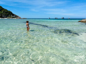 Join Travel with Tera as she captures unforgettable adventures and delicious bites from around the world. Follow along (https://travelwithtera.com) for stunning travel photos, mouthwatering cuisine, and stories that will stay with you forever.