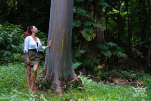 Maui - Travel With Tera