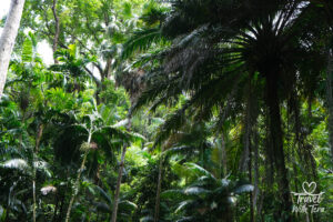 Maui - Travel With Tera